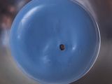 a close up of a blue object in a metal bowl