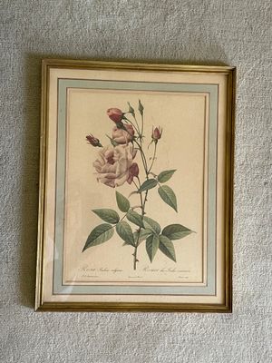 a framed picture of a rose on the wall