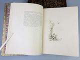 an open book with a drawing of a tree on it