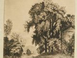 drawing of a landscape with a river and trees in the foreground