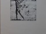 une image représentant un livre sur lequel figure l'illustration d'un homme perché dans un arbre
