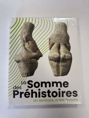la couverture du livre *Le Somme des préhistiquères*, sur laquelle figurent deux têtes, celle d'un homme et celle d'une femme