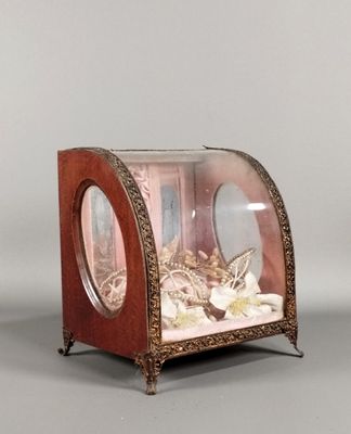 a glass display case with a cat inside of it