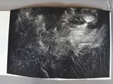 une photo en noir et blanc d'un chat sous la pluie