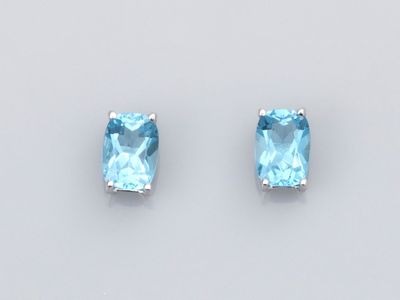 a pair of blue topaze earrings on a white background