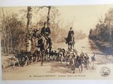 two men riding horses with dogs on the side of the road