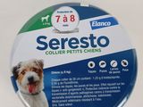une photo d'un chien assis sur une table