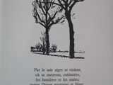 Photo 7/9 du lot