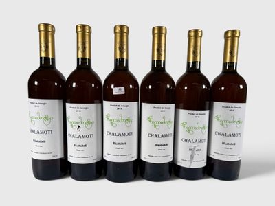 six bouteilles de vin sont alignées sur une surface blanche