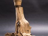 a wooden vase that is sitting on a piece of wood