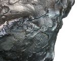 a close up of a sculpture of a man ' s head