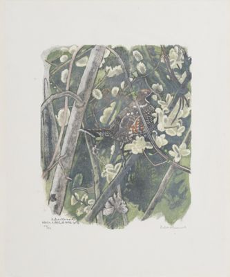a bird that is sitting on a branch of a tree