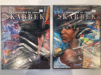 deux couvertures d'une bande dessinée représentant une femme tenant une épée
