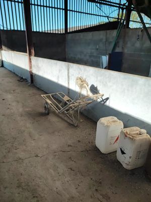 un chariot posé contre un mur