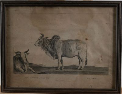 painting of a cow standing next to a cow laying down on the ground