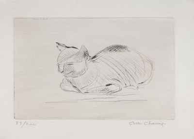 pencil drawing of a cat laying down on a white surface