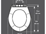 a drawing of a toilet with the seat up and the lid down