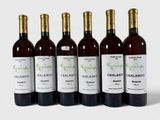 six bouteilles de vin sont alignées sur une surface blanche
