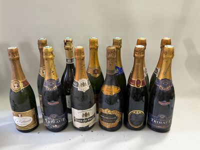 12 bouteilles Champagne divers MAZET, CLEMENT, TALMONT etc V…