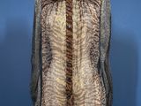 a brown and black blouse on a mannequin mannequin mannequin mannequin mannequin mannequin mannequin mannequin mann