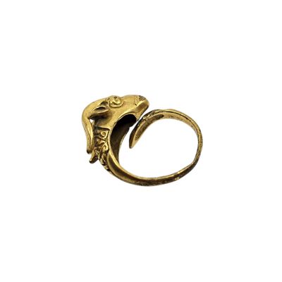 a close up of a gold ring with a skull on it