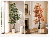 deux arbres, les quatre saisons et une cheminée dans un salon