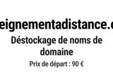 Photo 1/1 du lot