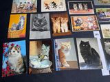 many pictures of cats that are on the table