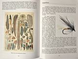 an open book with a picture of a fly and a picture of a fish