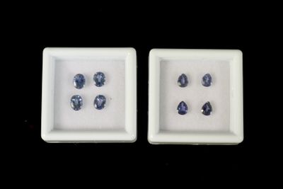 SAPHIR bleu. Lot de 8 saphirs bleus clairs, bel éclat, total…