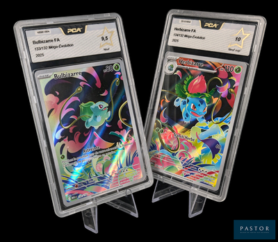 Deux cartes Pokémon sont exposées dans un étui en plastique transparent