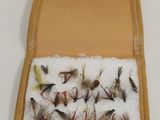 a case with a lot of flies in it
