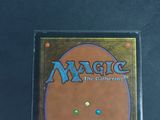 the back of a card game case with a picture of a cat on it