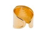 a close up of a gold ring on a white background