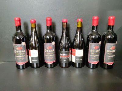 Lot de 7 bouteilles de vin rouge : 4 Côte de Boeuf Maturée 2… - Photo 1