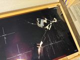 a picture of a black and white cow in a wooden box