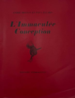 la couverture d'un livre rouge sur laquelle figure l'image d'un homme sur un skateboard
