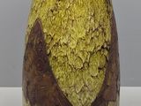 un vase jaune orné de motifs marron, posé sur une table