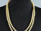 un collier de perles jaunes sur un mannequin, un mannequin, un mannequin, un mannequin, un mannequin, un mannequin, un mannequin, un mannequin, un mannequin, un mannequin, un mannequin, un mannequin, un mannequin, un mannequin, un mannequin, un mannequin, un mannequin, un mannequin, un mannequin, un mannequin, un mannequin, un mannequin, un mannequin, un mannequin, un mannequin, un mannequin, un mannequin, un mannequin, un mannequin, un mannequin, un mannequin, un mannequin