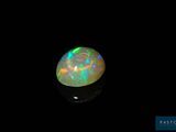 an oplite in the dark with a black background