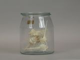 a glass jar with a skeleton inside of it