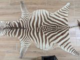 a zebra rug on the floor next to a chair