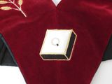 a close up of a neck tie with a ring on it
