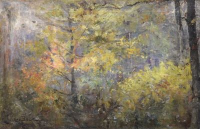 Julia BECK (1853-1935) - Photo 1