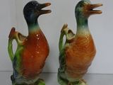 two ducks that are standing next to each other