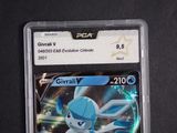 an image of a pokemon card in a plastic case