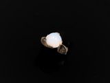 un anneau oplite blanc sur une surface noire