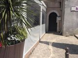 a potted plant in front of a building on the street