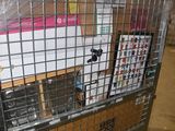 a metal cage with a bunch of items in it