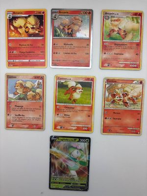 Plusieurs cartes Pokémon sont fixées au réfrigérateur à l'aide d'aimants.
